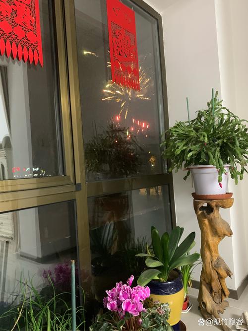 高三夜望烟花，心随光华起舞——记那一场璀璨的青春盛宴